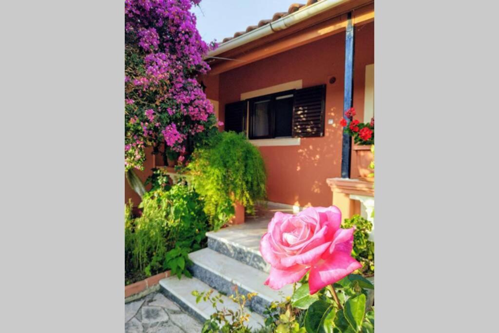 فيلا Rose Garden Melíkia المظهر الخارجي الصورة